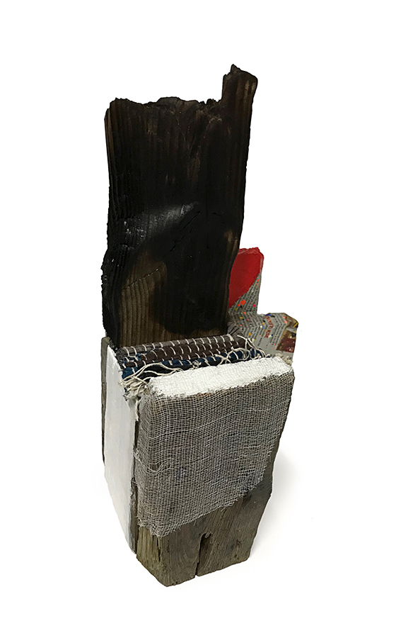 Additional image 10 of Ajitvar Kumar Douglas