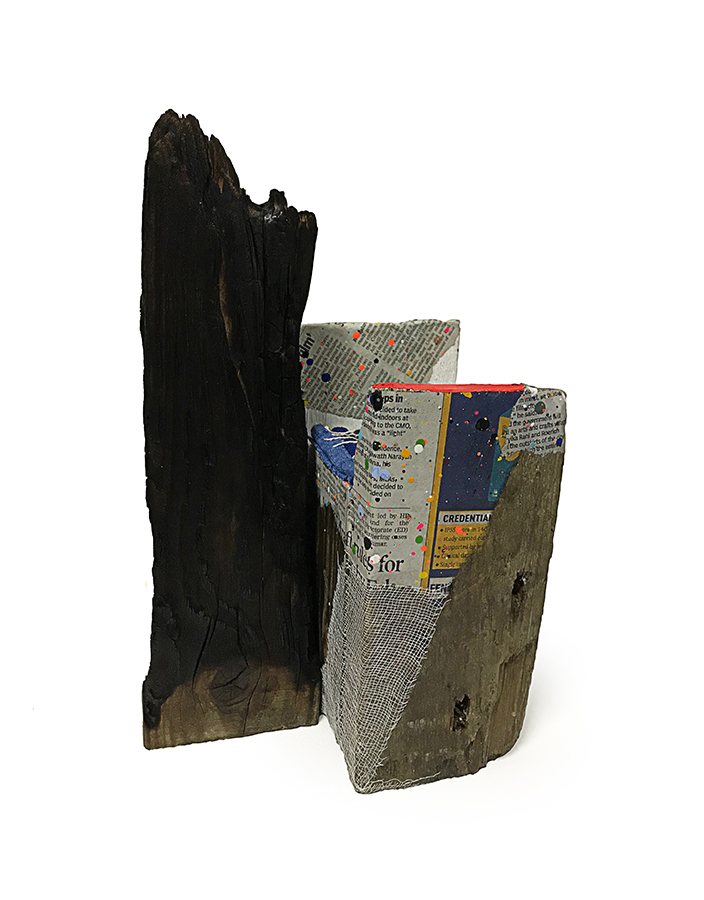 Additional image 14 of Ajitvar Kumar Douglas