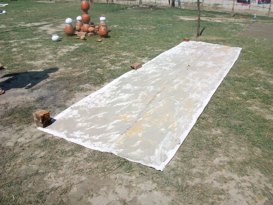 Portrait of Anand Shalini