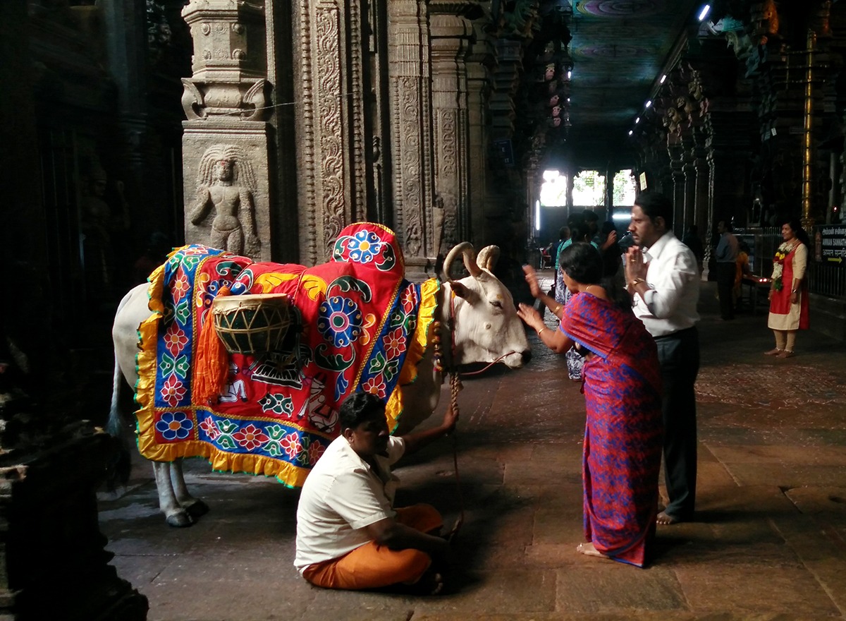 Additional image 9 of Ravi Ranjan